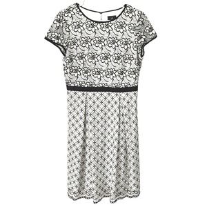 Adrianna Papell A-line Dress Sz 6‎ Floral Lace Overlay Ivory Black Short Sleeve